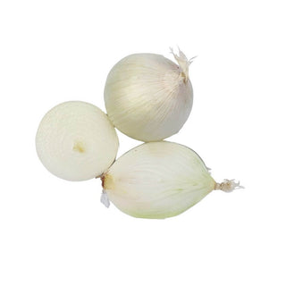 Wholesale WHITE ONION Bulk Produce Fresh Fruits and Vegetables