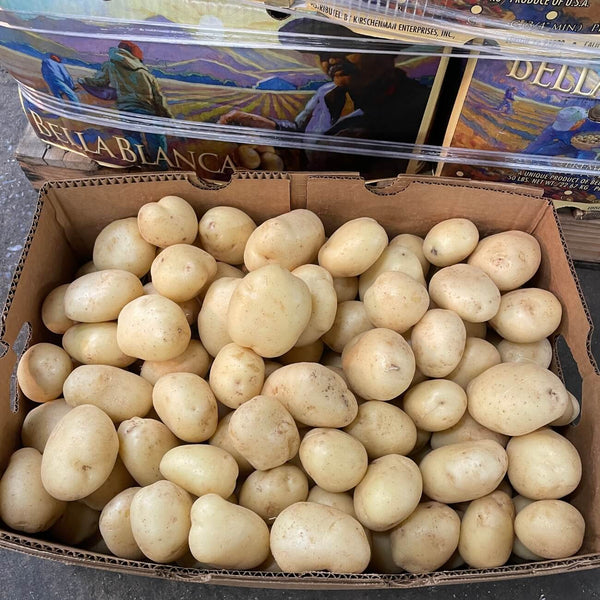 Wholesale WHITE POTATO A BELLA BLANCA Bulk Produce Fresh Fruits and Vegetables