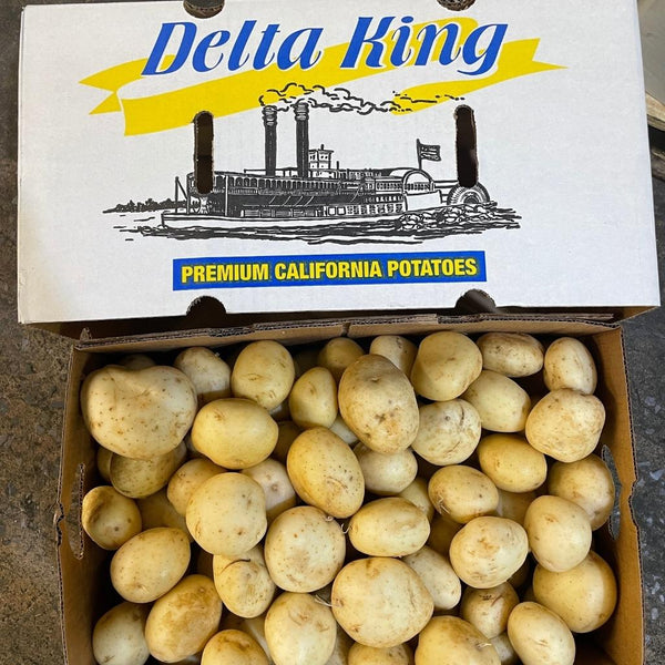 Wholesale WHITE POTATO A DELTA KING Bulk Produce Fresh Fruits and Vegetables