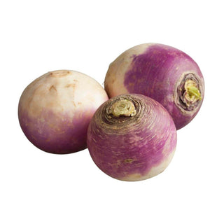 Wholesale WHITE TURNIP* Bulk Produce Fresh Fruits and Vegetables