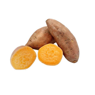 Wholesale YAM JUMBO (SAMPLE) Bulk Produce Fresh Fruits and Vegetables