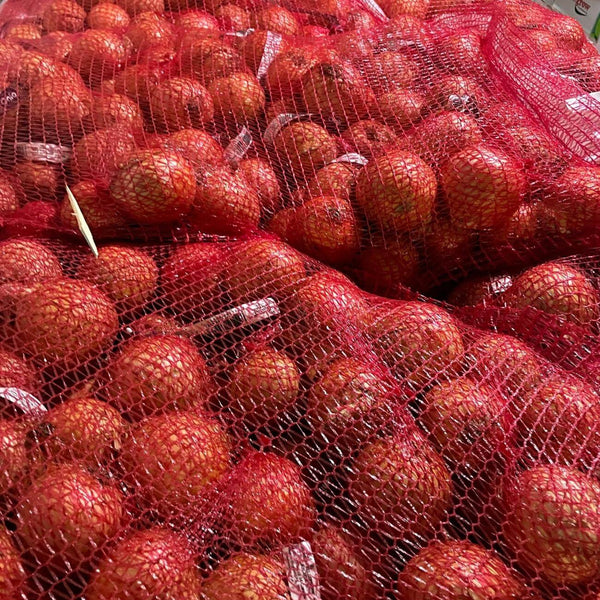 Wholesale YELLOW ONION (2LB) Bulk Produce Fresh Fruits and Vegetables