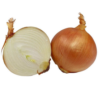 Wholesale YELLOW ONION JUMBO (SAMPLE) Bulk Produce Fresh Fruits and Vegetables