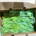 Wholesale YU CHOY TIPS TAY SHING Bulk Produce Fresh Fruits and Vegetables