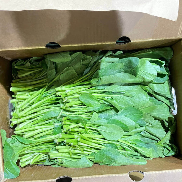 Wholesale YU CHOY TIPS TAY SHING Bulk Produce Fresh Fruits and Vegetables